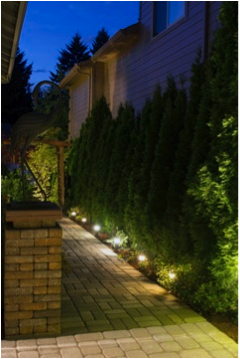eliminate dark areas